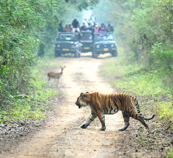 Nature & Wildlife Tour
