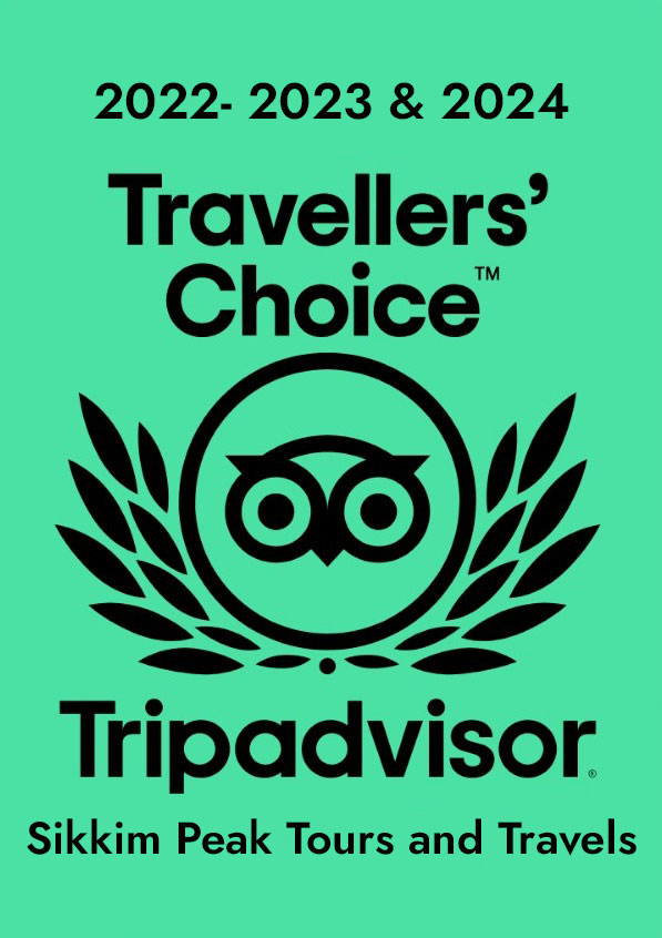 TripAdvisor